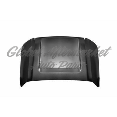HOOD STEEL CAPA