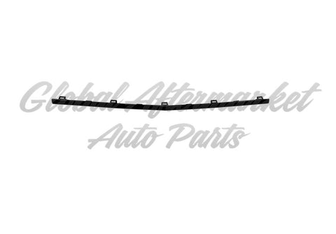 BUMPER MOLDING FR CENTER BRIGHT BLACK W/AMG