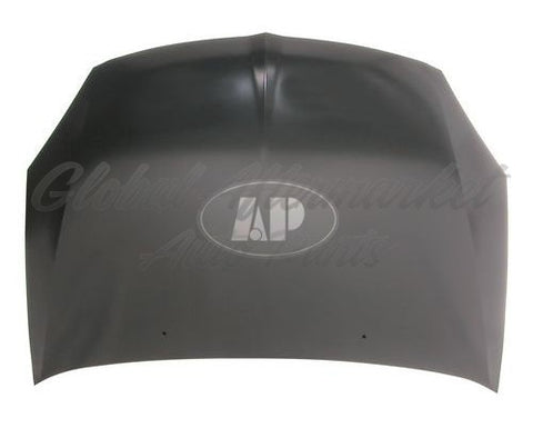 HOOD EXCLUDE EVOLUTION STEEL