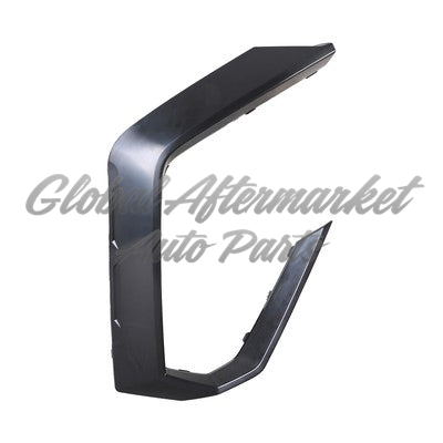 BUMPER MOLDING FR LH BLACK RAW