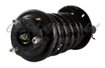 STRUT ASSEMBLY FR LH — photo 4