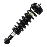 STRUT ASSEMBLY FR LH/RH RWD F-150