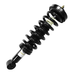 STRUT ASSEMBLY FR LH/RH RWD F-150