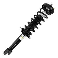 STRUT ASSEMBLY RR LH/RH