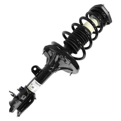 STRUT ASSEMBLY RR LH