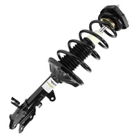 STRUT ASSEMBLY RR LH