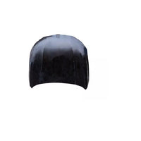 HOOD ALUMINIUM