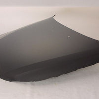 HOOD STEEL CAPA