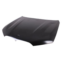 HOOD ALUMINUM