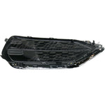 FOG LAMP COVER FR LH BLACK W/CHROME MOULDING — photo 4