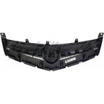 GRILLE W/BLACK ABS — photo 2