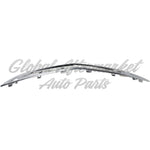 GRILLE MOULDING CHROME — photo 4