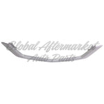 GRILLE MOULDING LOWER — photo 4