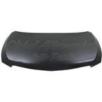 HOOD ALUMINUM CAPA — photo 2