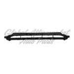 GRILLE LOWER — photo 1