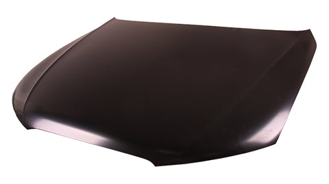 HOOD STEEL CAPA