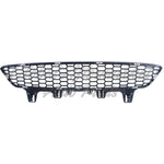 GRILLE LOWER FR BLACK — photo 5