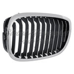 GRILLE LH CHROME/BLACK [11 BLACK VERTICAL BARS WITH CHROME FACE SURROUNDED BY CHROME FRAME] — photo 4