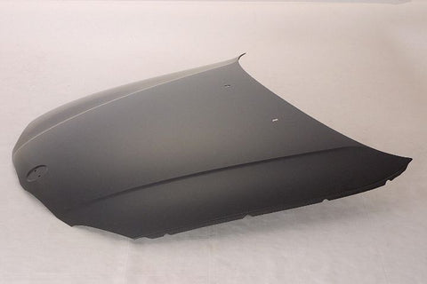 HOOD STEEL CAPA