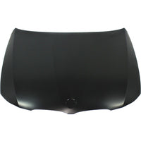 HOOD STEEL CAPA