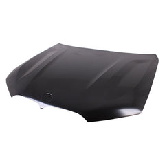 HOOD ALUMINUM