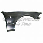 FENDER FR LH W/SIDE LAMP HOLE — photo 4