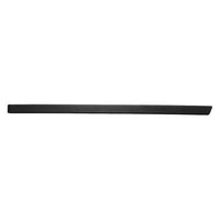 DOOR MOULDING RR LH
