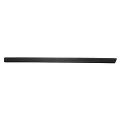 DOOR MOULDING RR LH