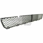 GRILLE LOWER — photo 5