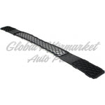 GRILLE LOWER BLACK W/FOG — photo 3