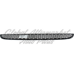GRILLE LOWER FR — photo 1