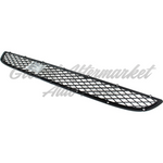 GRILLE LOWER FR — photo 3