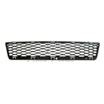 GRILLE LOWER CENTER W/O FASCIA INSERT — photo 1