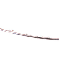 BUMPER MOULDING FR LOWER CENTER CHROME
