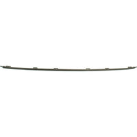 BUMPER MOLDING FR CENTER BRONZE FINISH (FIT 2017-21 S MODELS W/O APP PKG)