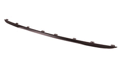 BUMPER MOULDING RR PTM