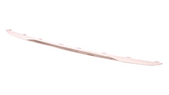 BUMPER MOULDING RR CHROME