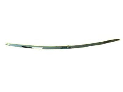 BUMPER MOULDING RR CENTER CHROME