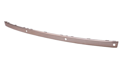 BUMPER MOULDING RR SATIN W/SENSOR