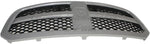 GRILLE PTM W/O MOUNTING PANEL EXCLUDE REBEL/ WARLOCK MODEL — photo 4
