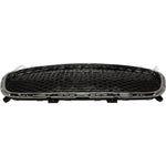 GRILLE DARK GRAY MESH W/CHROME FRAME FOR 300C / LTD MODEL — photo 4