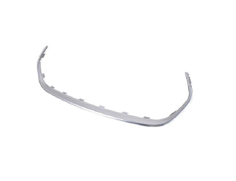 GRILLE MOLDING FR LOWER PATINUM (SATIN)