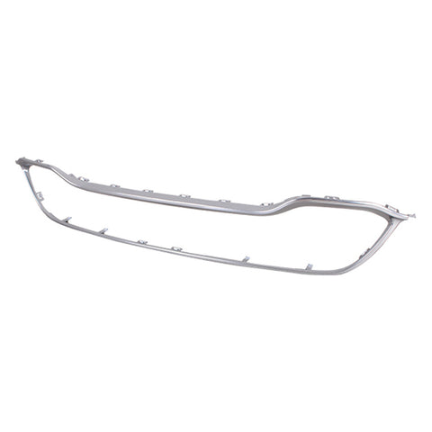 GRILLE MOLDING OUTER SATIN CHROME