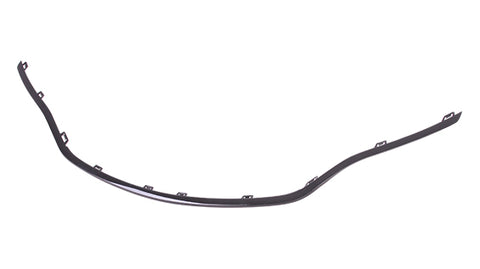 GRILLE MOULDING BLACK