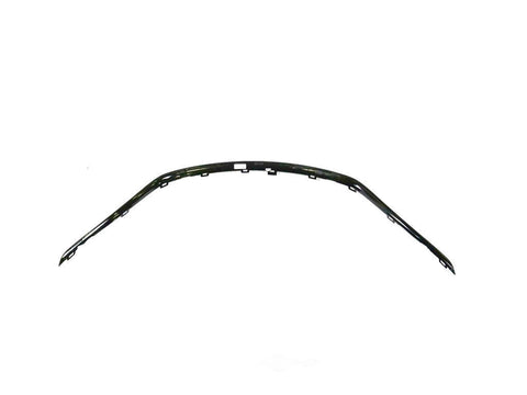 GRILLE MOLDING FR LOWER BRIGHT BLACK