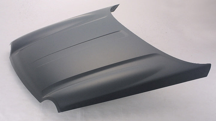 HOOD LTD/SPORT EXCLUDE RENEGADE CAPA