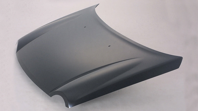 HOOD STEEL CAPA