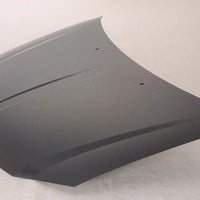 HOOD STEEL CAPA