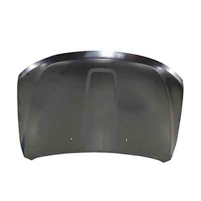 HOOD STEEL EXCLUDE SRT-8