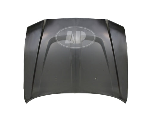 HOOD STEEL CAPA